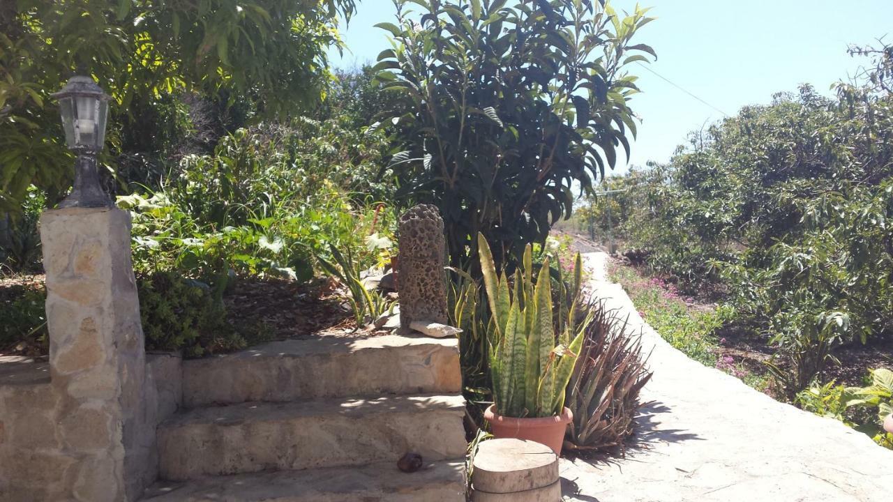 Punta Del Sol Vista Al Atlantico Apartamento Tijarafe Exterior foto